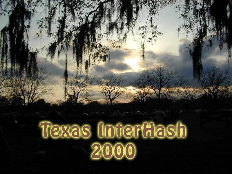 TexasInterHash2000.jpg (72335 bytes)